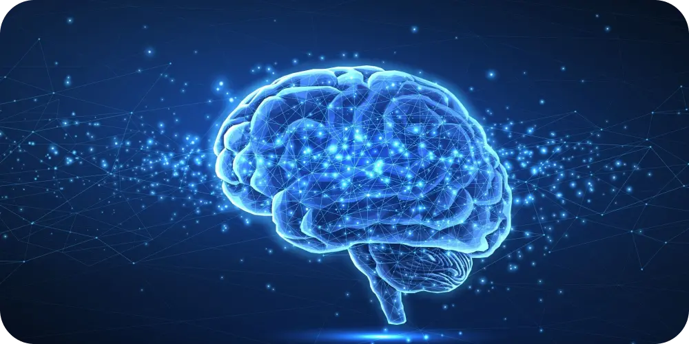 brain cognitive health