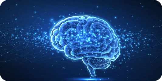 brain cognitive health